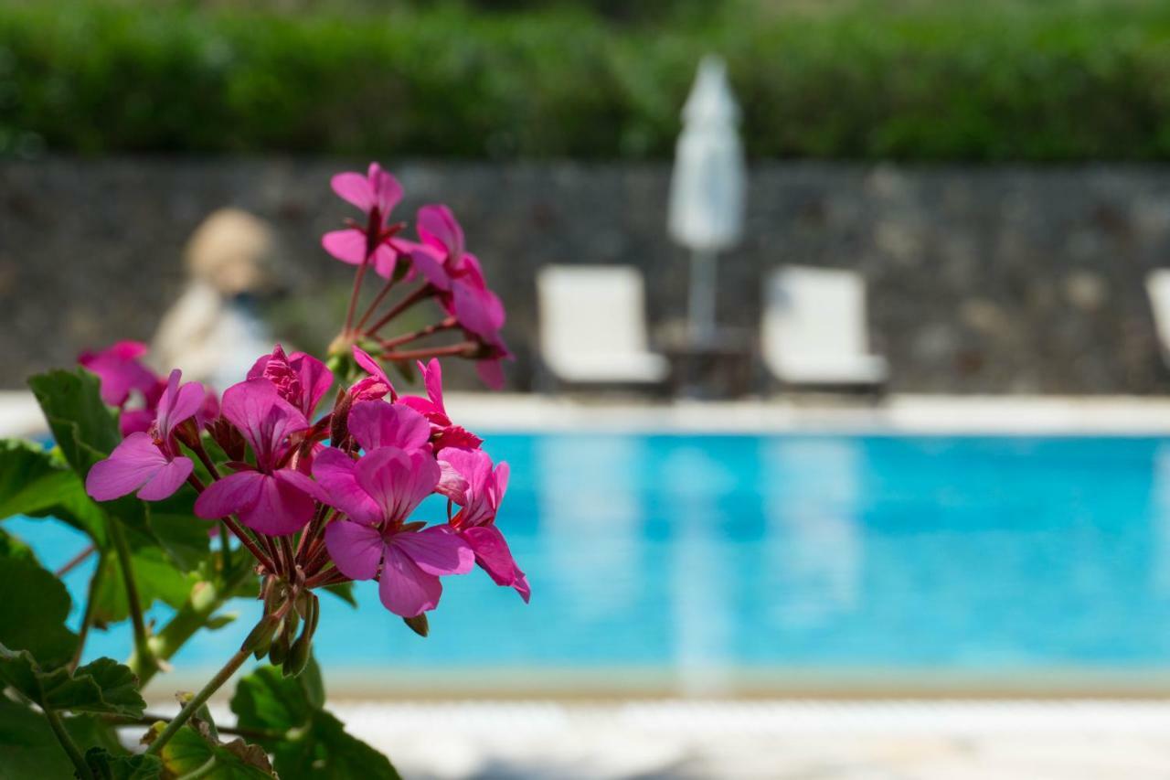 Venus Apartments ซีดารี ภายนอก รูปภาพ