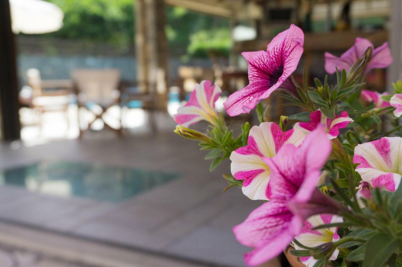 Venus Apartments ซีดารี ภายนอก รูปภาพ